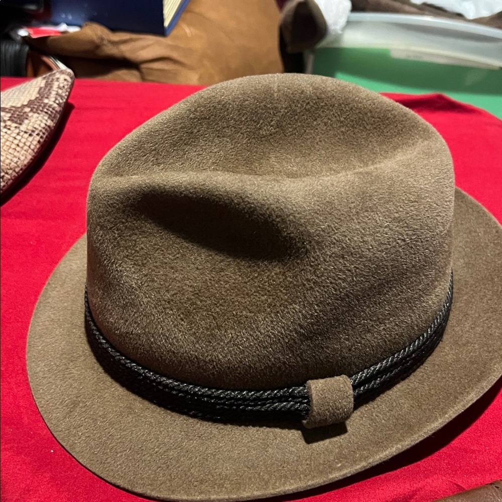 Classic Brown Fedora Hat